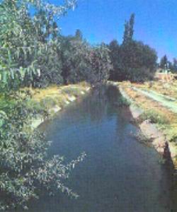 amiram (Semiramis) Kanal